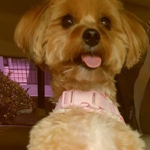 Meet your Posher, Ronald